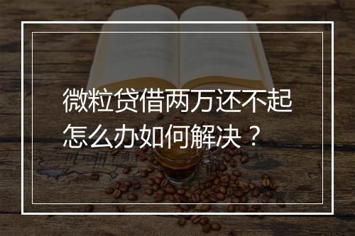微粒贷借两万还不起怎么办如何解决？