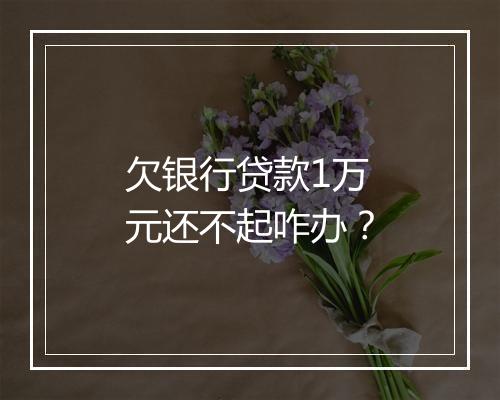 欠银行贷款1万元还不起咋办？