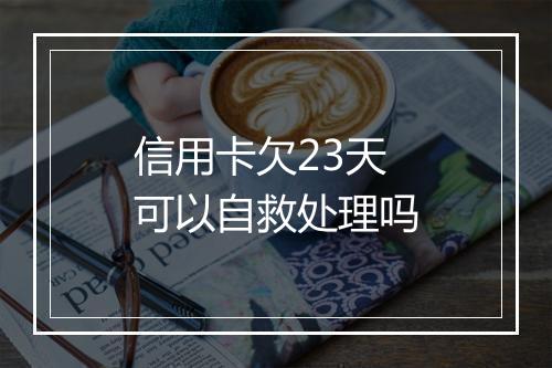 信用卡欠23天可以自救处理吗