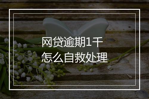 网贷逾期1千怎么自救处理
