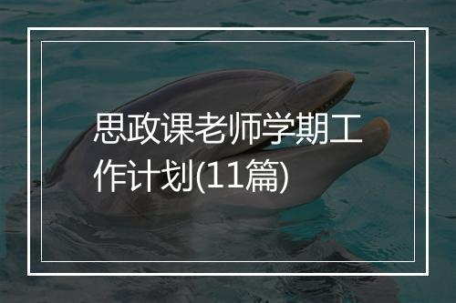 思政课老师学期工作计划(11篇)