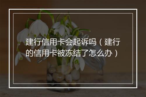 建行信用卡会起诉吗（建行的信用卡被冻结了怎么办）