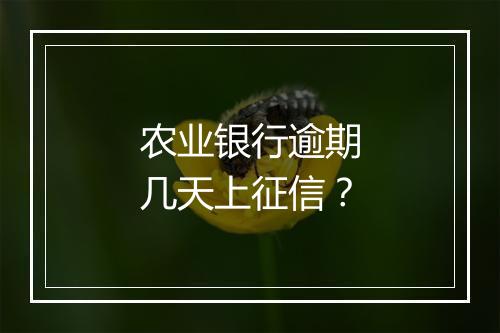 农业银行逾期几天上征信？