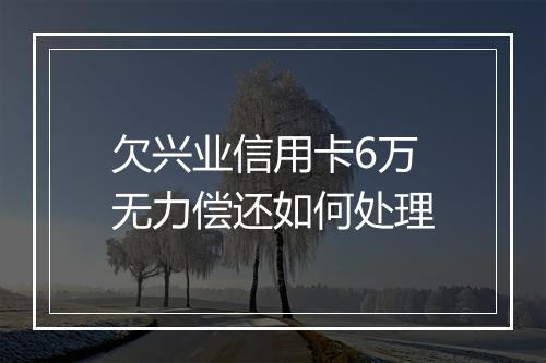欠兴业信用卡6万无力偿还如何处理