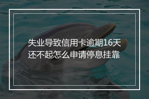 失业导致信用卡逾期16天还不起怎么申请停息挂靠
