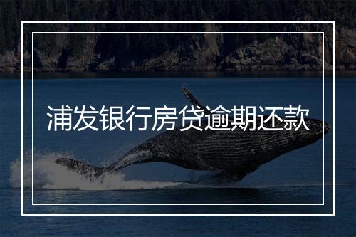 浦发银行房贷逾期还款
