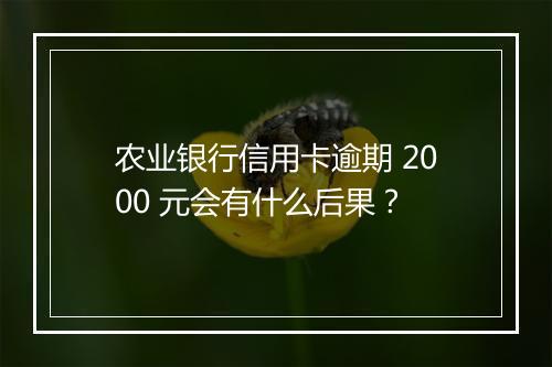 农业银行信用卡逾期 2000 元会有什么后果？