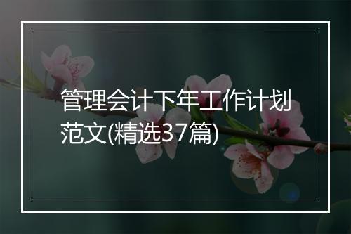 管理会计下年工作计划范文(精选37篇)