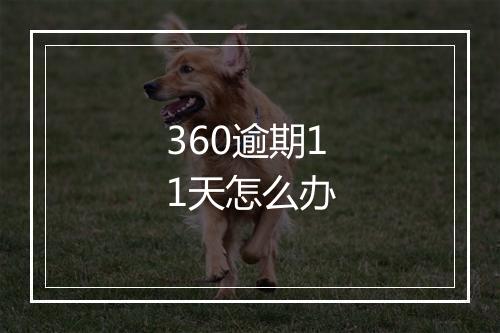 360逾期11天怎么办