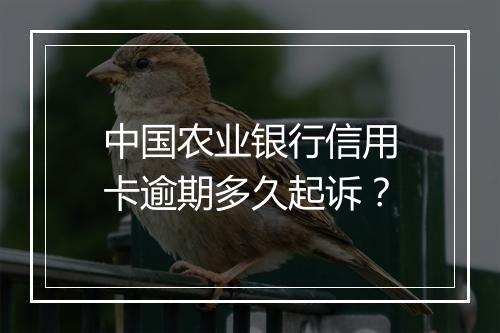 中国农业银行信用卡逾期多久起诉？