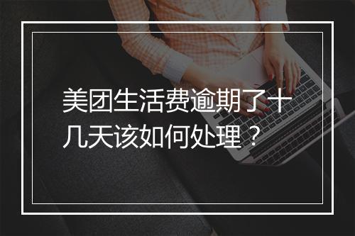 美团生活费逾期了十几天该如何处理？