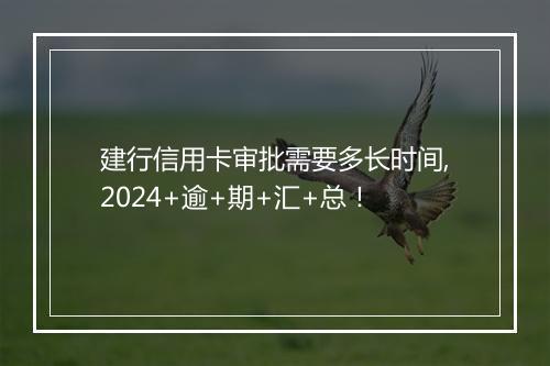 建行信用卡审批需要多长时间,2024+逾+期+汇+总！