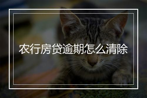 农行房贷逾期怎么清除