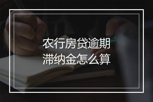 农行房贷逾期滞纳金怎么算