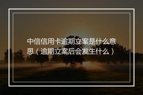 中信信用卡逾期立案是什么意思（逾期立案后会发生什么）