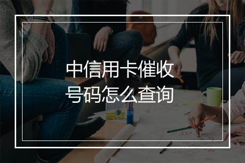 中信用卡催收 号码怎么查询
