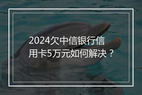 2024欠中信银行信用卡5万元如何解决？