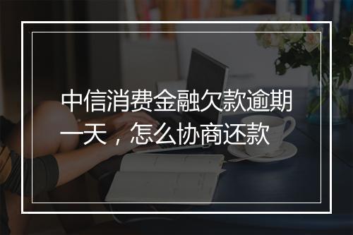 中信消费金融欠款逾期一天，怎么协商还款