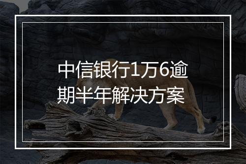 中信银行1万6逾期半年解决方案