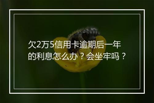 欠2万5信用卡逾期后一年的利息怎么办？会坐牢吗？