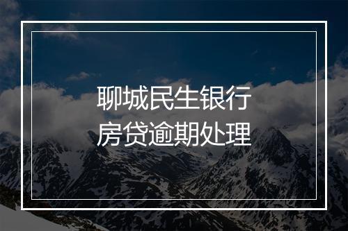 聊城民生银行房贷逾期处理