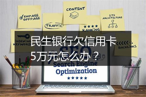 民生银行欠信用卡5万元怎么办？