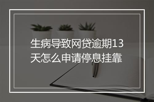 生病导致网贷逾期13天怎么申请停息挂靠