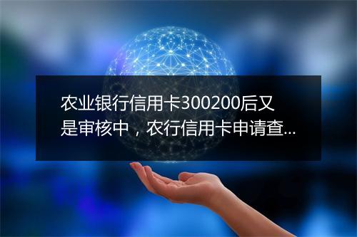 农业银行信用卡300200后又是审核中，农行信用卡申请查询显示520001是什么情况