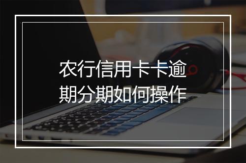 农行信用卡卡逾期分期如何操作
