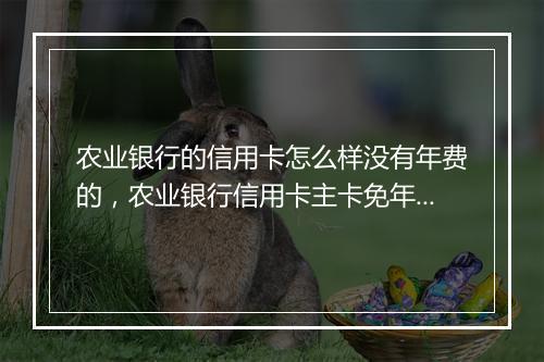 农业银行的信用卡怎么样没有年费的，农业银行信用卡主卡免年费附属卡