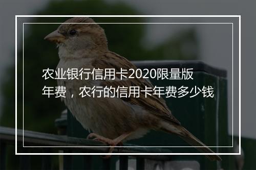 农业银行信用卡2020限量版年费，农行的信用卡年费多少钱