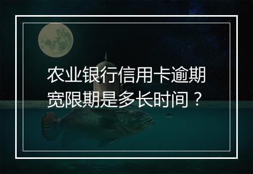 农业银行信用卡逾期宽限期是多长时间？