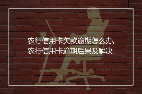 农行信用卡欠款逾期怎么办,农行信用卡逾期后果及解决