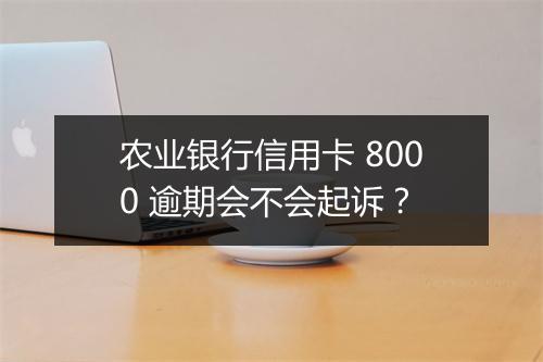 农业银行信用卡 8000 逾期会不会起诉？