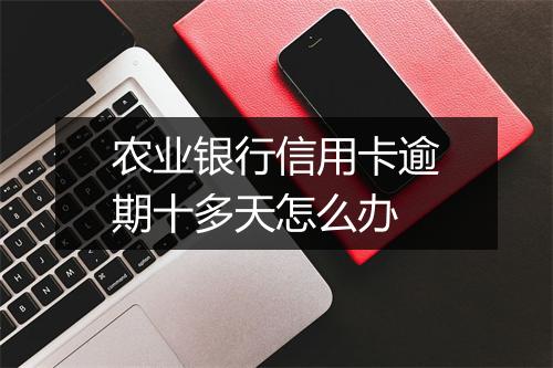 农业银行信用卡逾期十多天怎么办