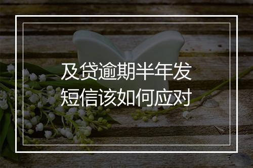 及贷逾期半年发短信该如何应对
