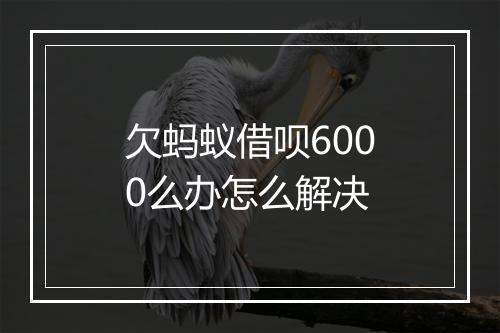 欠蚂蚁借呗6000么办怎么解决