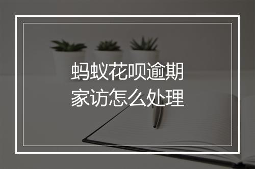 蚂蚁花呗逾期家访怎么处理