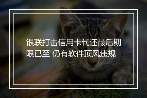 银联打击信用卡代还最后期限已至 仍有软件顶风违规