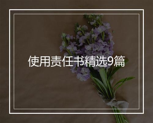 使用责任书精选9篇
