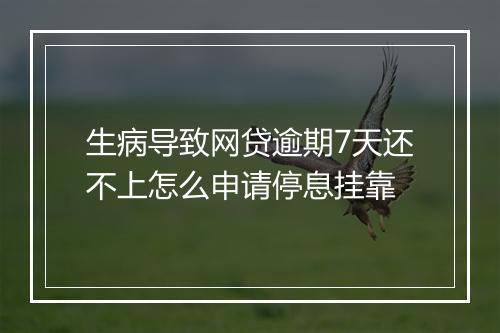 生病导致网贷逾期7天还不上怎么申请停息挂靠
