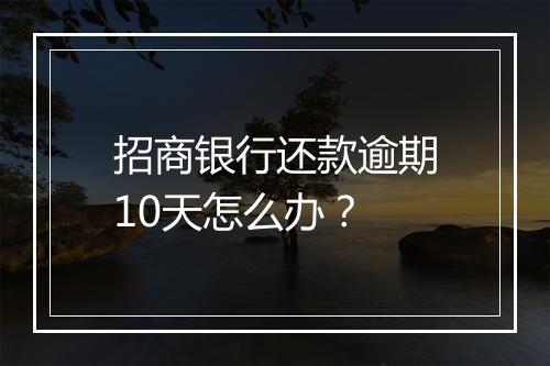 招商银行还款逾期10天怎么办？