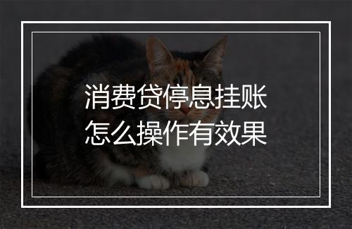 消费贷停息挂账怎么操作有效果