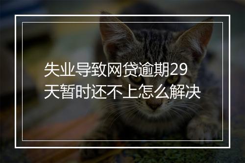 失业导致网贷逾期29天暂时还不上怎么解决
