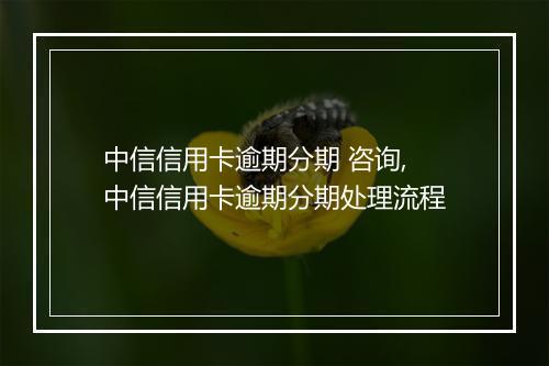 中信信用卡逾期分期 咨询,中信信用卡逾期分期处理流程