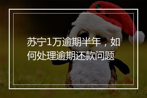 苏宁1万逾期半年，如何处理逾期还款问题