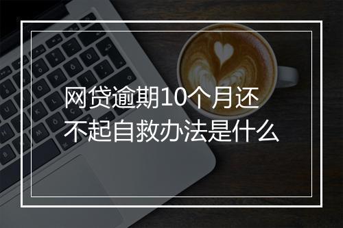 网贷逾期10个月还不起自救办法是什么