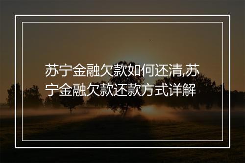 苏宁金融欠款如何还清,苏宁金融欠款还款方式详解