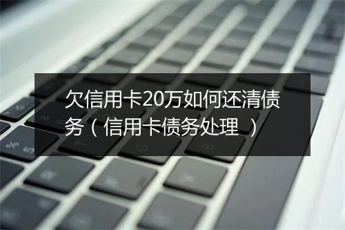 欠信用卡20万如何还清债务（信用卡债务处理 ）