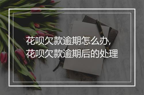 花呗欠款逾期怎么办,花呗欠款逾期后的处理